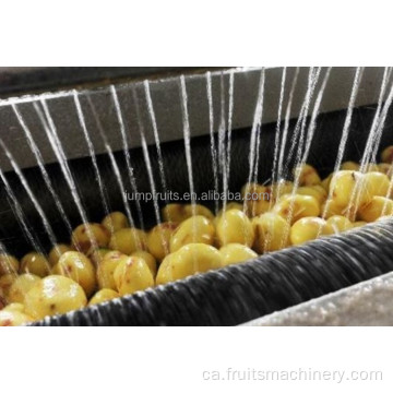Maquinària completa de processament de patates